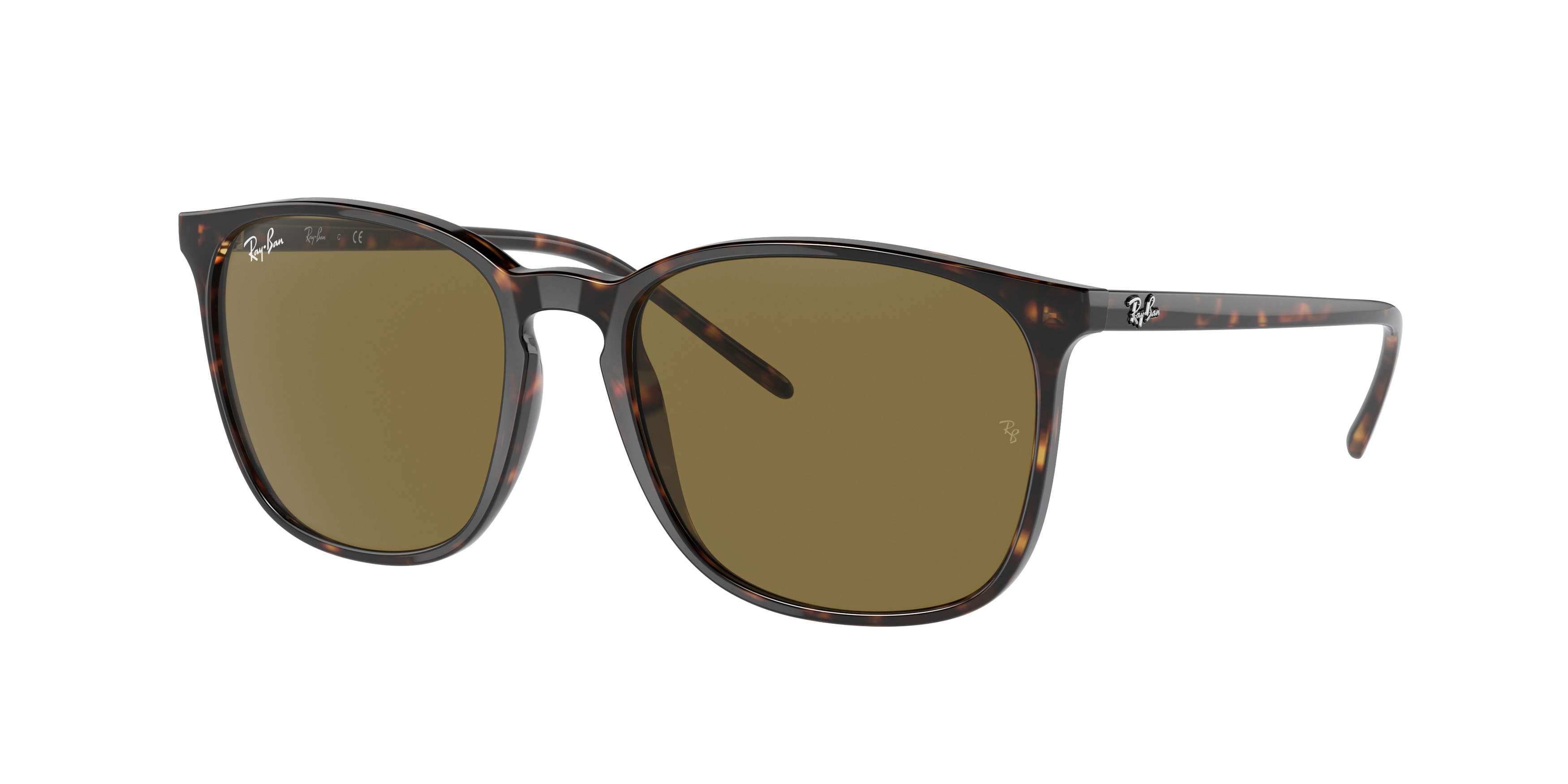 Ray Ban RB4387F 902/73  
